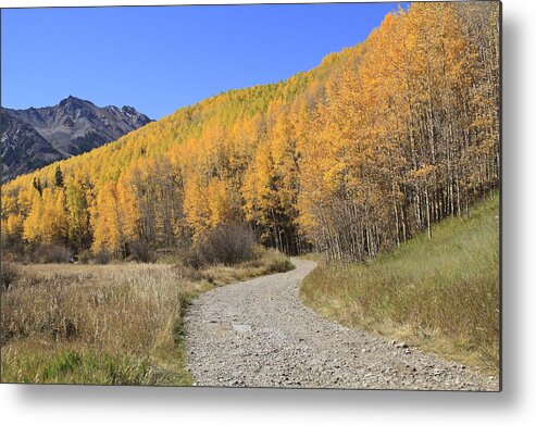 Scenics Metal Print featuring the photograph Dirt Road In The Elk Mountains, Colorado by John Kieffer