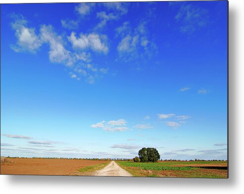 Scenics Metal Print featuring the photograph Dirt Road Through Farm Fields Under by Avtg