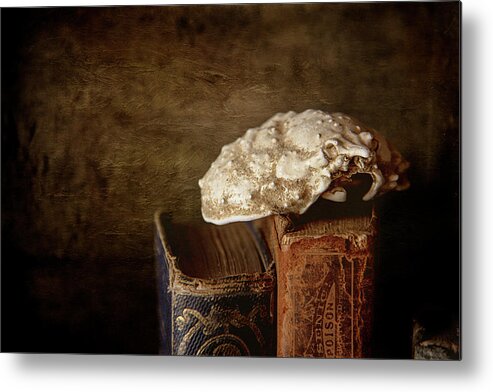 Discoveries Metal Print featuring the photograph Discoveries by Cindi Ressler