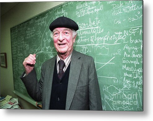 Working Metal Print featuring the photograph Dr. Linus Pauling At The Chalk Board by Bettmann