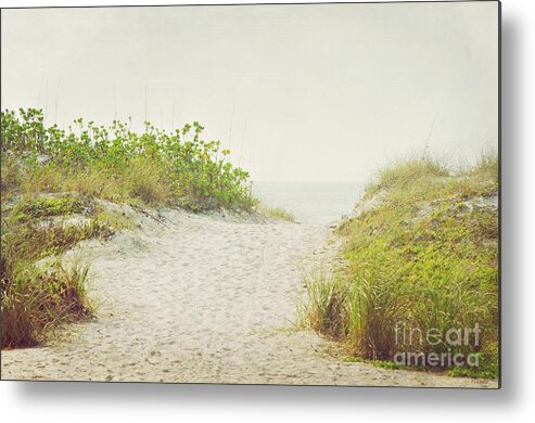 Summer Metal Print featuring the photograph Dreams of Summer by Hilda Wagner