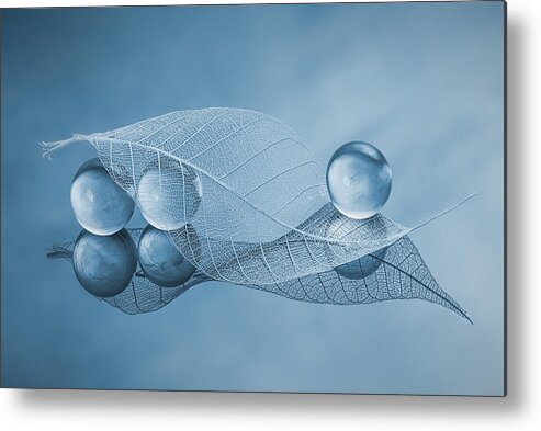 Dry Metal Print featuring the photograph Dry Leaf And Bubbles by Lydia Jacobs