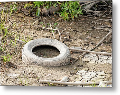 Used Metal Print featuring the photograph Dumped Tyre by Microgen Images/science Photo Library