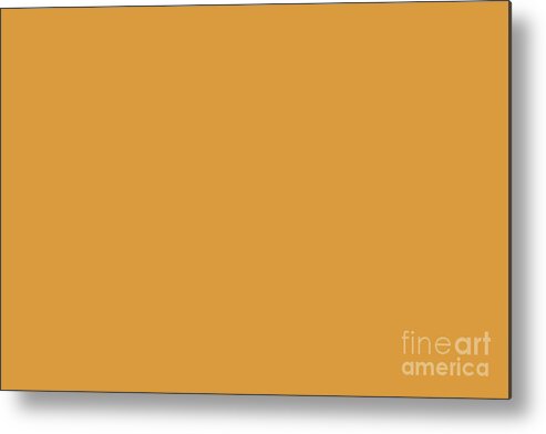Orange Metal Print featuring the digital art Dunn and Edwards 2019 Curated Colors Persimmon Orange Pumpkin Orange DE5293 Solid Color by PIPA Fine Art - Simply Solid