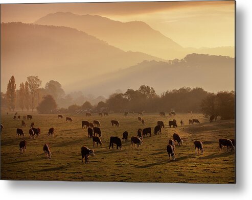 Scenics Metal Print featuring the photograph Dusk Over The Mountains by Ann Clarke Images