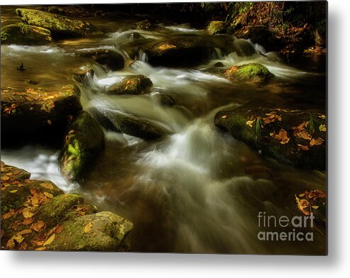 Fall Metal Print featuring the photograph Early Autumn Light by Mike Eingle