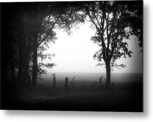 Noir Metal Print featuring the photograph Early Bird by Jacqueline Van Bijnen