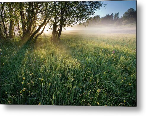 Scenics Metal Print featuring the photograph Early Morning by Ingmar Wesemann