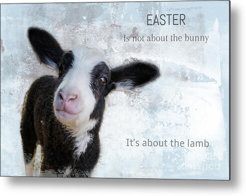 Lamb Metal Print featuring the mixed media Easter is not about the bunny... by Eva Lechner