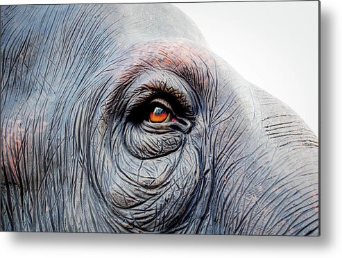 Animal Themes Metal Print featuring the photograph Elephant Eye by Selvin
