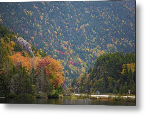 Elephant Metal Print featuring the photograph Elephant Head Autumn by Chris Whiton