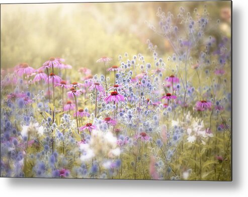 Flower Metal Print featuring the photograph Enchantment by Jacky Parker