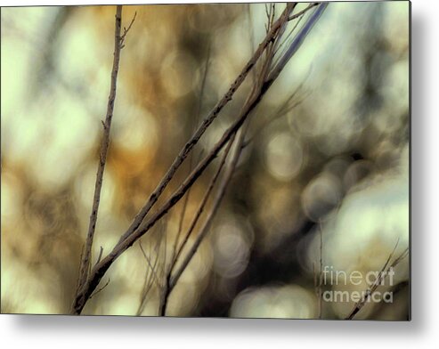 Lubbock Metal Print featuring the photograph Endeavor to Reap by Natural Abstract Photography