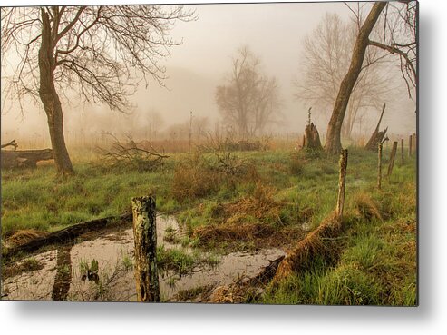 Fog Metal Print featuring the photograph Ethereal Edge by Marcy Wielfaert