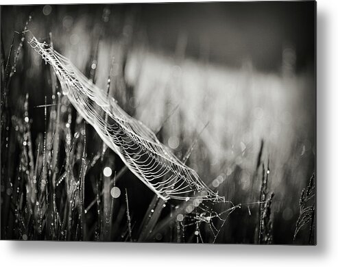 Black And White Metal Print featuring the photograph Everything by Michelle Wermuth