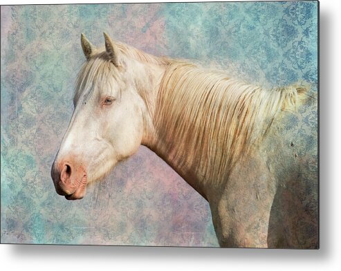 Wild Horses Metal Print featuring the photograph Eyes like the sky by Mary Hone