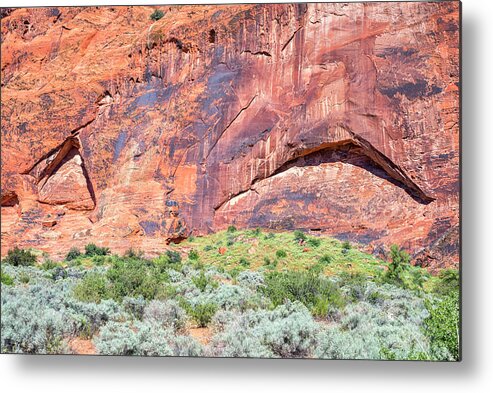Rock Metal Print featuring the photograph Eyes Of Rock by Joseph S Giacalone