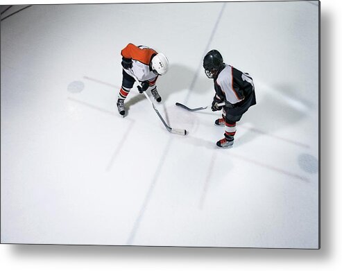Recreational Pursuit Metal Print featuring the photograph Face Off by Francisblack