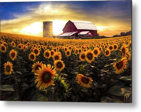 Barns Metal Print featuring the photograph Faces Autumn Painting by Debra and Dave Vanderlaan