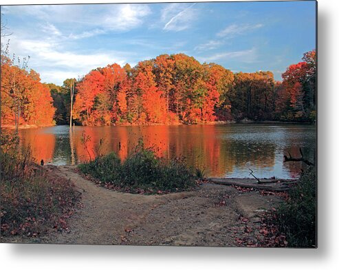 Landscape Metal Print featuring the photograph Fall Day at the Creek by Angela Murdocks