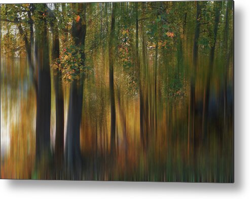 Fall Metal Print featuring the photograph Fall Impression #1 by ??? / Austin