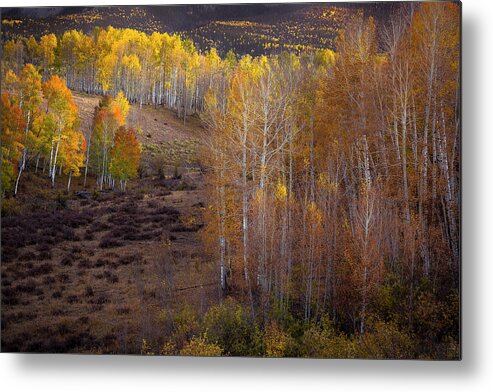 Fall Metal Print featuring the photograph Fall Meadow No.1 by The Forests Edge Photography - Diane Sandoval