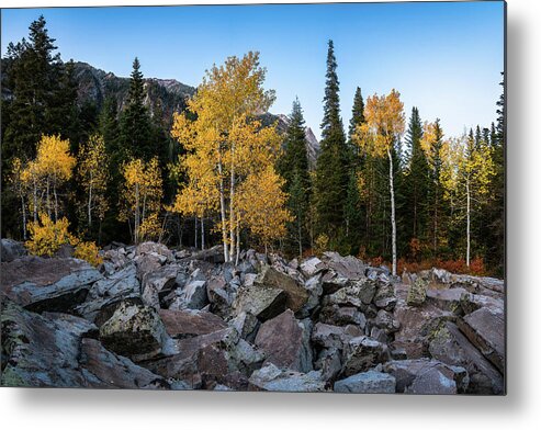 Utah Metal Print featuring the photograph Fall Trees in the Rocks by James Udall