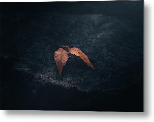 Leaf Metal Print featuring the photograph Fallen Leaves by Hisashi Ishikawa