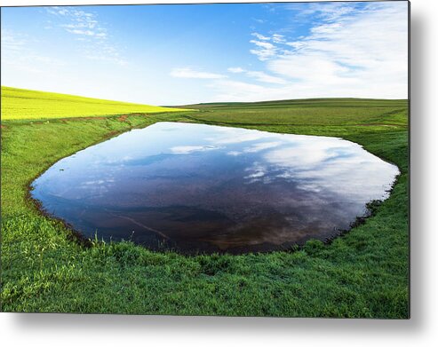 Scenics Metal Print featuring the photograph Farm Dam Amongst Wheat And Canola by Peter Chadwick