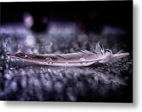 Feather Metal Print featuring the photograph Feather And Drop II by Alessandro Fabiano