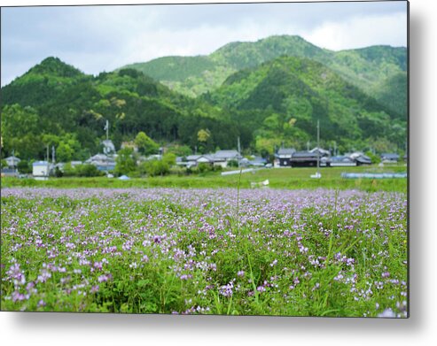 Tranquility Metal Print featuring the photograph Field Of Astragalus by Ebiq