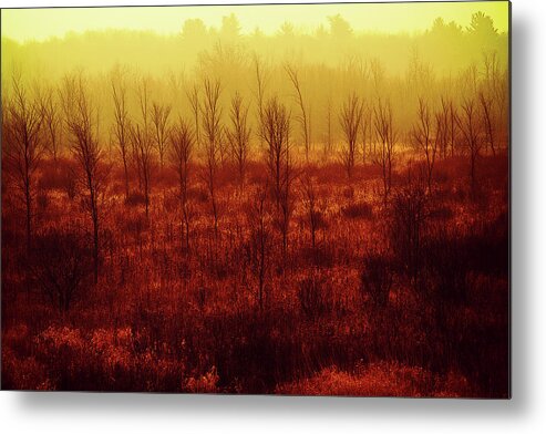 Fiery Orange Metal Print featuring the photograph Fiery orange autumn colors by Tatiana Travelways