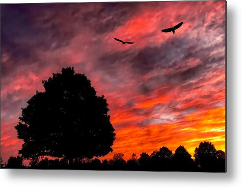 Sky Metal Print featuring the photograph Fire in the Sky by Jack Wilson