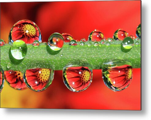 Water Drops Metal Print featuring the photograph Firey Drops by Gary Yost