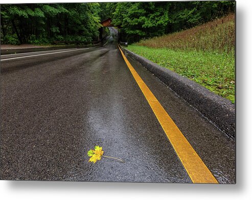 Sleeping Metal Print featuring the photograph First Sign Of Autumn by Heather Kenward