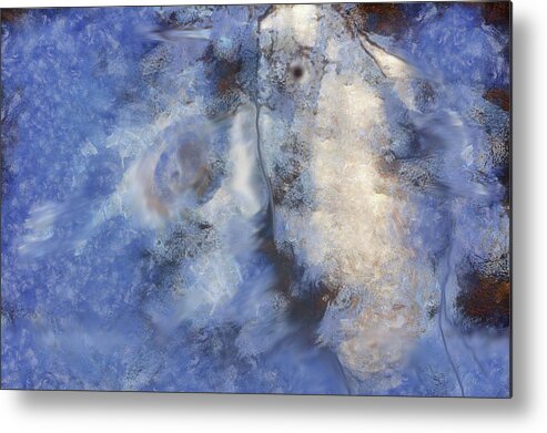 Fish Metal Print featuring the digital art Fish, Abstract by Robert Bissett