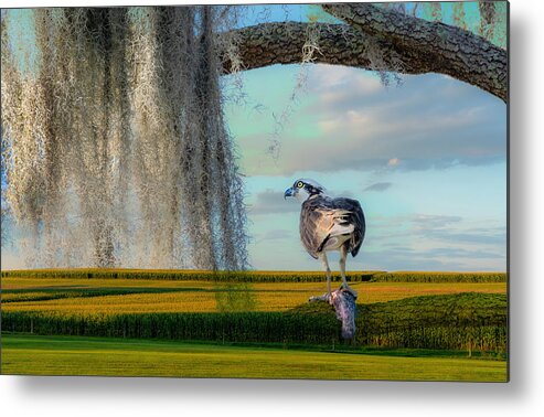 Orlando Metal Print featuring the photograph Fish, Fowl And Corn by Ed Esposito