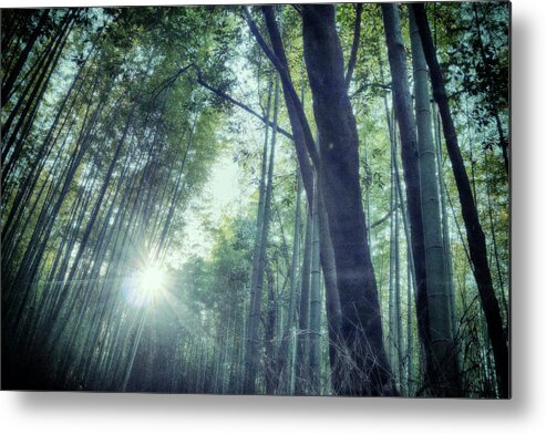 Tranquility Metal Print featuring the photograph Flare by Thank You For Dropping By, Shiesen. ;)