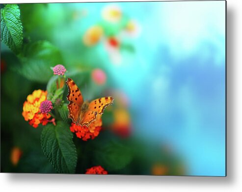Flowerbed Metal Print featuring the photograph Flower Background With Butterfly by O-che