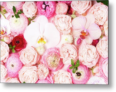Flowers Metal Print featuring the photograph Flowers Power II by Anastasy Yarmolovich