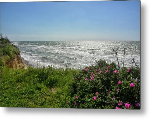 Sea Metal Print featuring the photograph flowery stormy Baltic shore by Joachim G Pinkawa