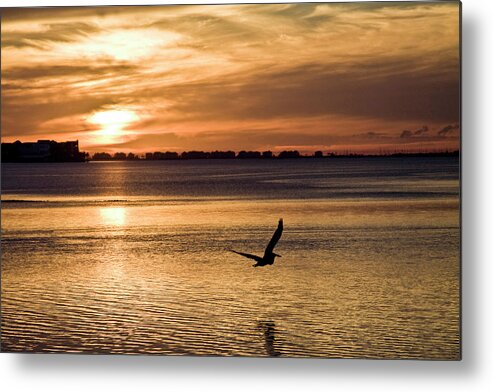 Sunset Metal Print featuring the photograph Flyby by Doc Hafferty