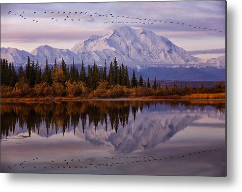 Panorama Metal Print featuring the photograph Flying Over by Michael Zheng