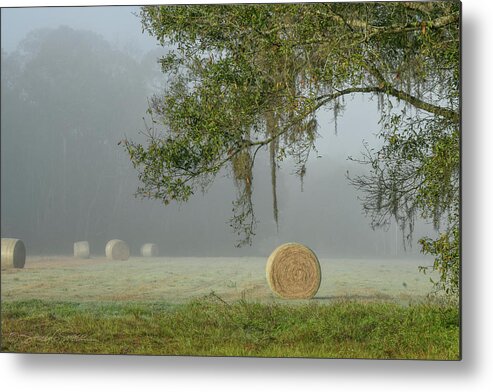  Metal Print featuring the photograph Foggy Elkton morning with hay bales by Stacey Sather