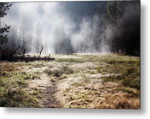 Scenics Metal Print featuring the photograph Foggy Morning In Yosemite Valley by Lucynakoch