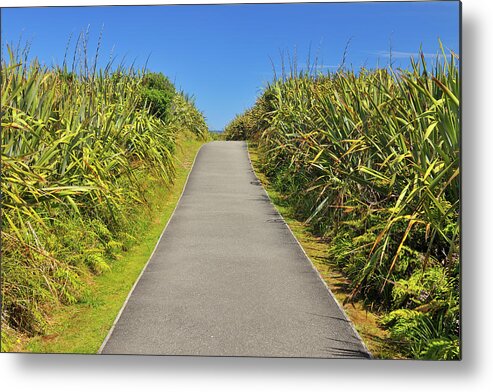 Shadow Metal Print featuring the photograph Footpath by Raimund Linke