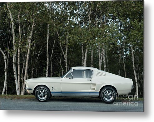 Sports Car Metal Print featuring the photograph Ford Mustang by Shaunl