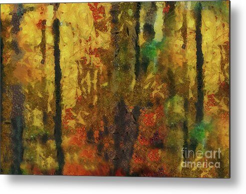 Forest Metal Print featuring the photograph Forest Colours by Elaine Manley