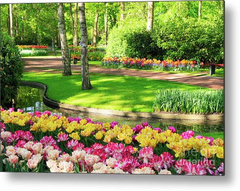 Holland Metal Print featuring the photograph Fresh Lawn With Flowers by Anastasy Yarmolovich