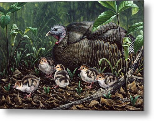 A Wild Hen And Its Chicks Metal Print featuring the painting Fruits Of Labor by Wilhelm Goebel